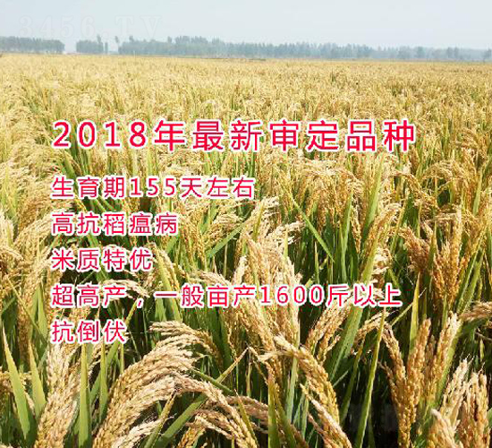 ����219-ˮ���N��-���ƷN�I(y��)