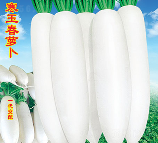 �����}��-�}���N��-�f(w��n)�r(n��ng)�߿�