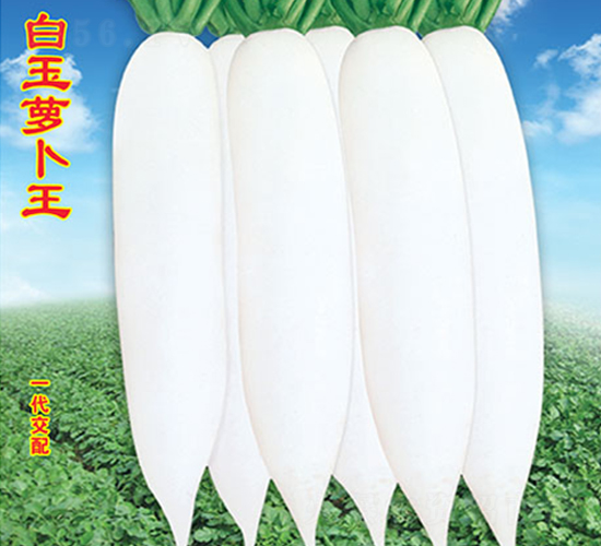 �����}����-�}���N��-�f(w��n)�r(n��ng)�߿�