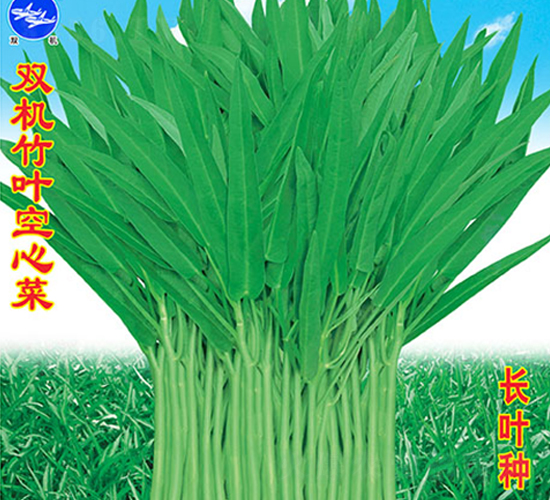 450���p�C���~���Ĳ�-���Ĳ˷N��-�f�r�߿�