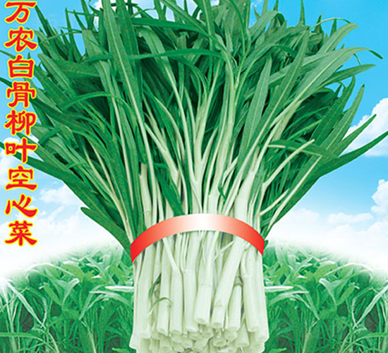 �f�r(n��ng)�׹����~���Ĳ�-���Ĳ˷N��-�f�r(n��ng)�߿�