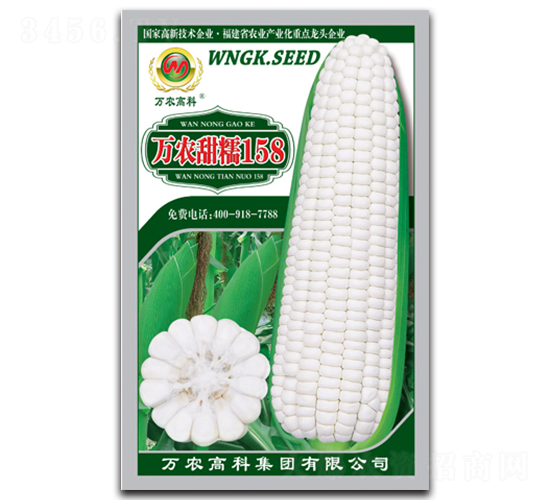 �f(w��n)�r(n��ng)��Ŵ158-Ŵ���׷N��-�f(w��n)�r(n��ng)�߿�