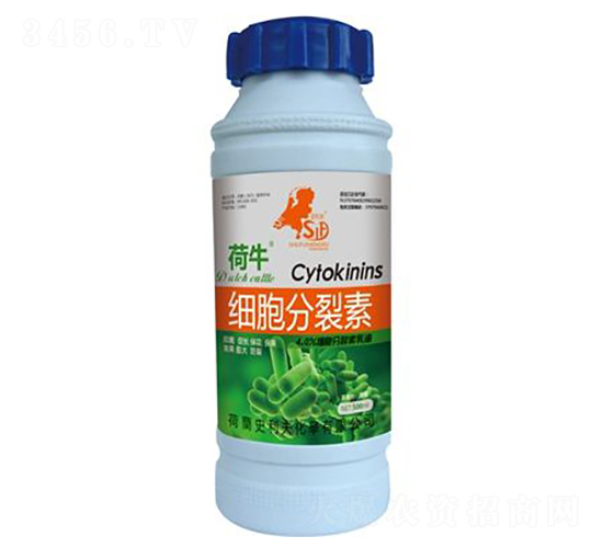 ����������-��ţ-ʷ����