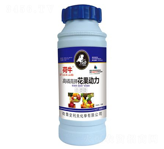 ���׸�⛻�����(d��ng)��-��ţ-ʷ����