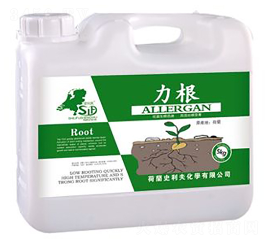 ����-��ţ-ʷ����