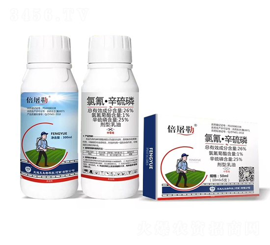 26%���衤����������-������-ʷ�Ͽ�