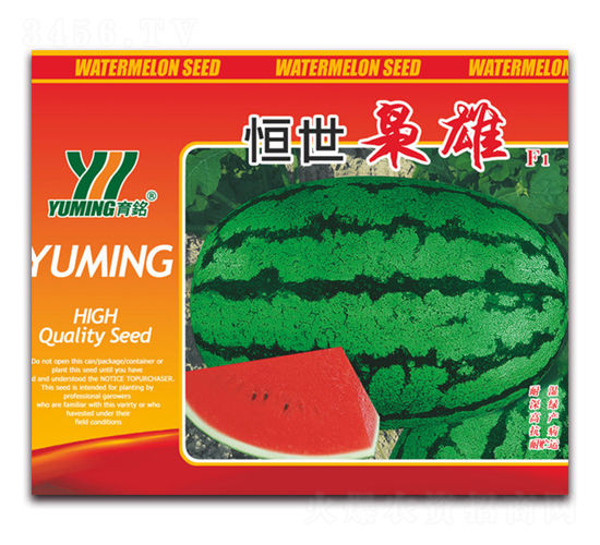 �����n��F1-���ϷN��-����(y��u)�߿�