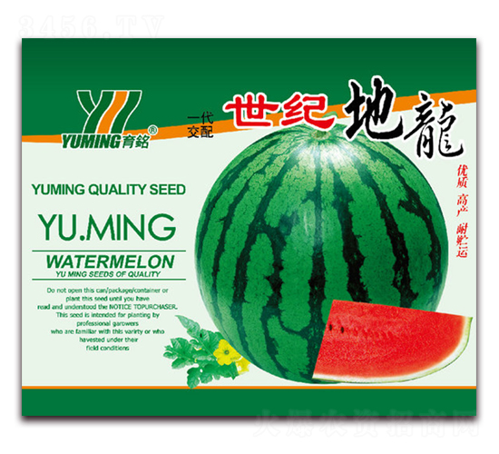 ���o����-���ϷN��-����(y��u)�߿�