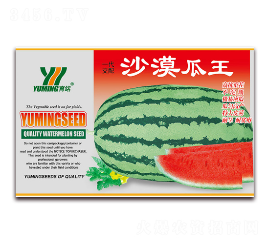 ɳĮ����-���ϷN��-����(y��u)�߿�