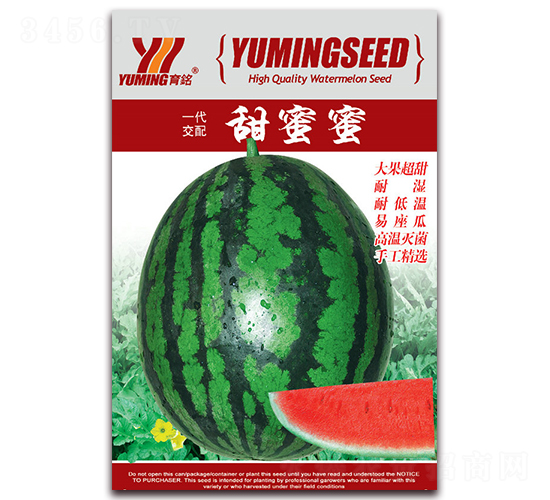 ������-���ϷN��-����(y��u)�߿�