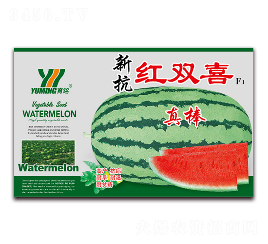 �¿��t�pϲF1-���ϷN��-����(y��u)�߿�