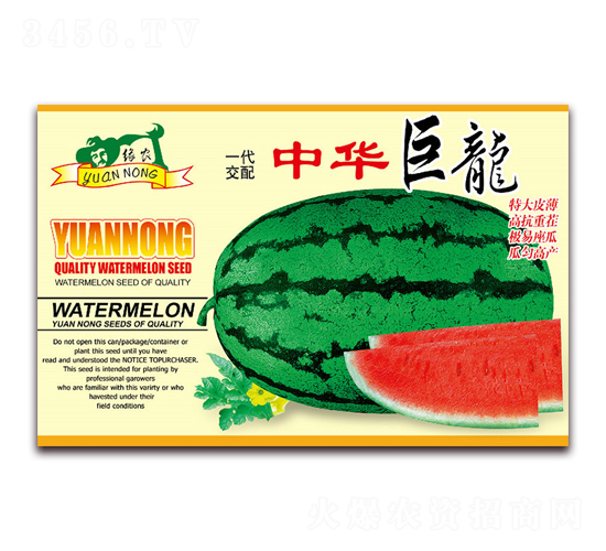 ���A����-���ϷN��-����(y��u)�߿�