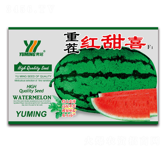 �ز�t��ϲF1-���ϷN��-����(y��u)�߿�