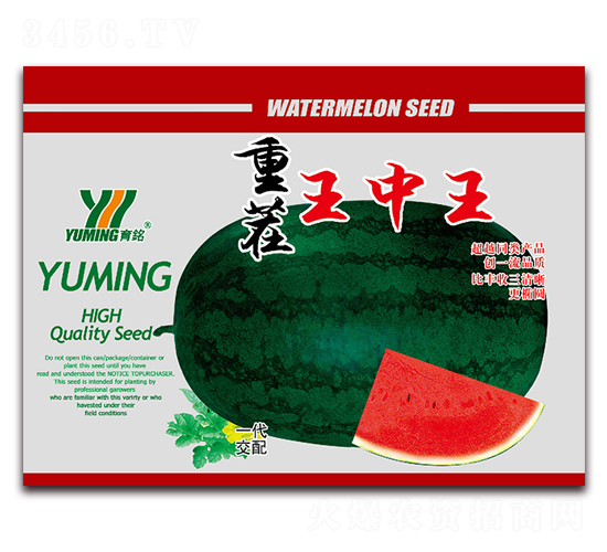 �ز�������-���ϷN��-����(y��u)�߿�