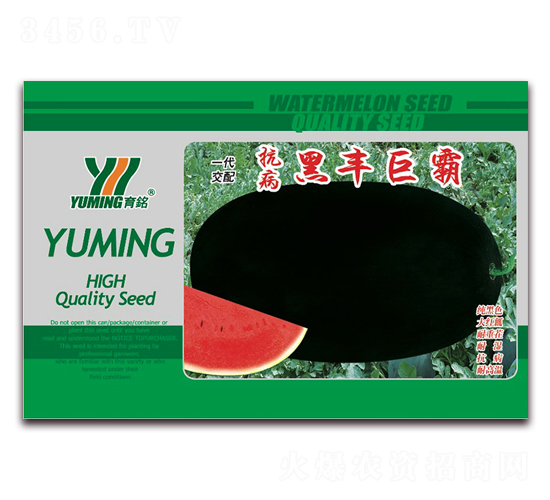 �������S�ް�-���ϷN��-����(y��u)�߿�