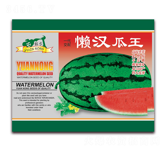 �Нh����-���ϷN��-����(y��u)�߿�