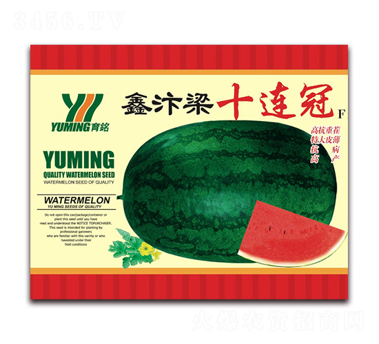 ������ʮ�B��-���ϷN��-����(y��u)�߿�