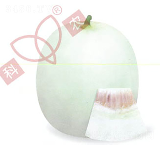 ������̖(h��o)-��ϷN��-���r(n��ng)�N�I(y��)