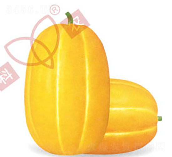 ����һ̖-��ϷN��-���r(n��ng)�N�I(y��)