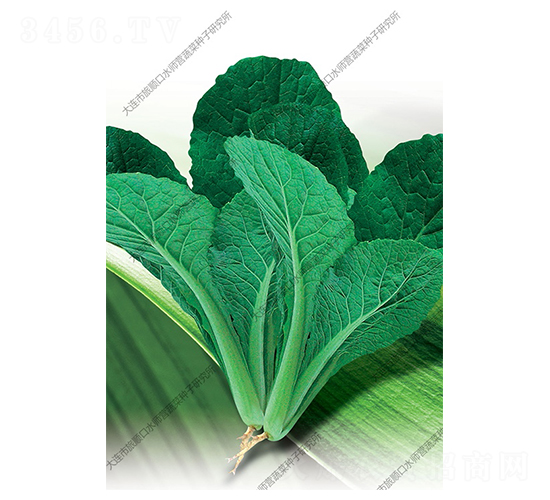 �๣С�ײ�-�ײ˷N��-ˮ���I