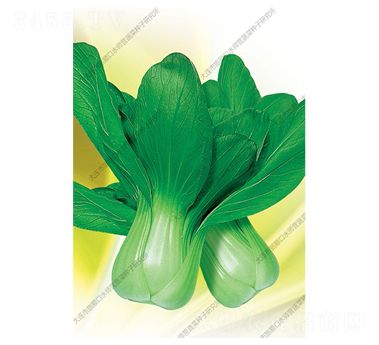 Ʒ���Ͳ�-�Ͳ˷N��-ˮ���I(y��ng)