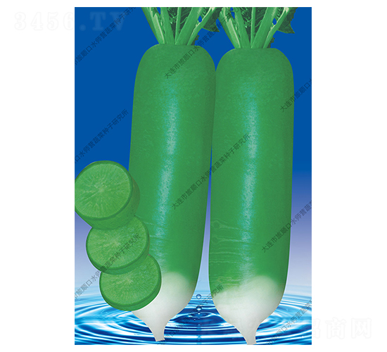 �OƷ�G-�}���N��-ˮ���I