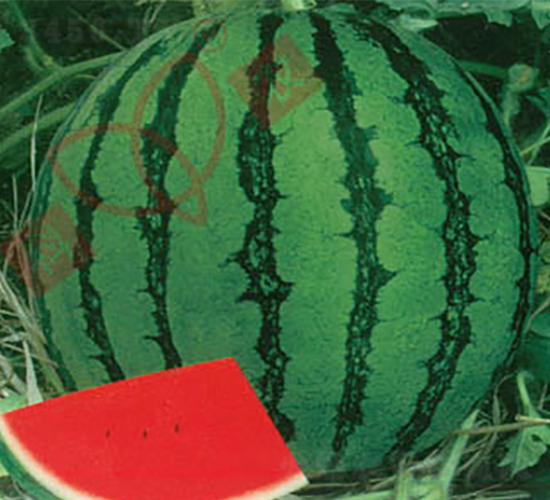 ���r(n��ng)��-���ϷN��-���r(n��ng)�N�I(y��)