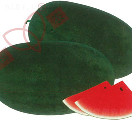 ���r(n��ng)�ڎ���������-���ϷN��-���r(n��ng)�N�I(y��)