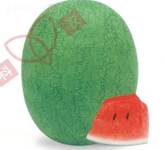 �ތ�һ̖-���ϷN��-���r(n��ng)�N�I(y��)