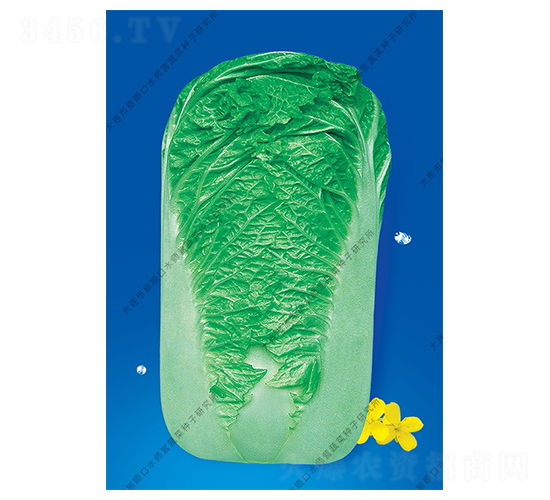 ˮ���I15̖(h��o)-�ײ˷N��-ˮ���I