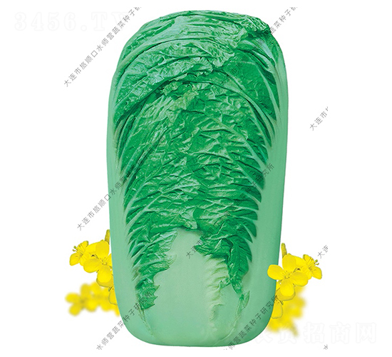 ˮ���I(y��ng)18̖(h��o)-�ײ˷N��-ˮ���I(y��ng)