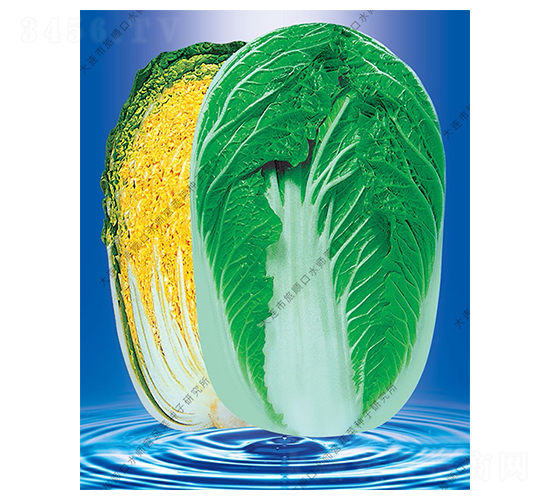 ˮ���I����58-�ײ˷N��-ˮ���I