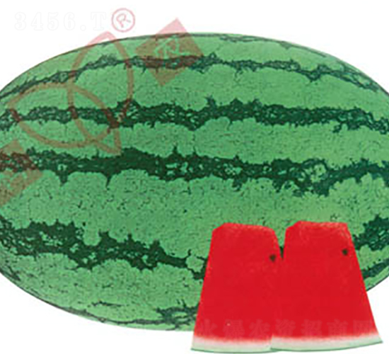 ���r(n��ng)��̖(h��o)-���ϷN��-���r(n��ng)�N�I(y��)