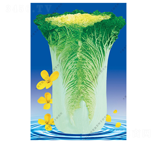 ˮ���I11̖-�ײ˷N��-ˮ���I