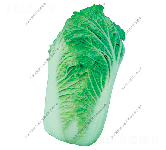 ˮ���I2̖(h��o)-�ײ˷N��-ˮ���I