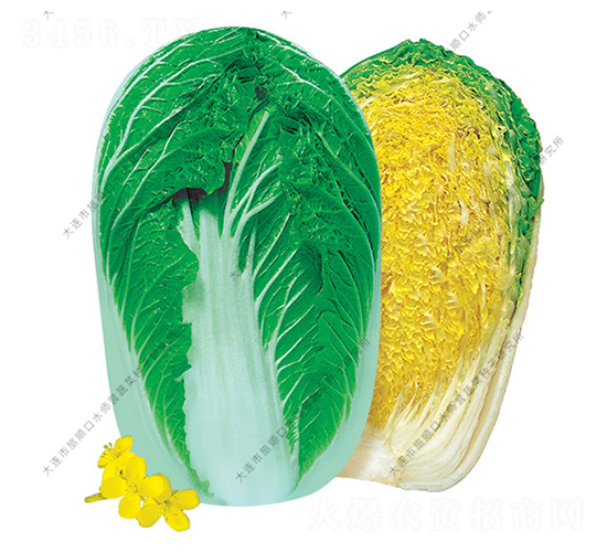 ���60-�ײ˷N��-ˮ���I