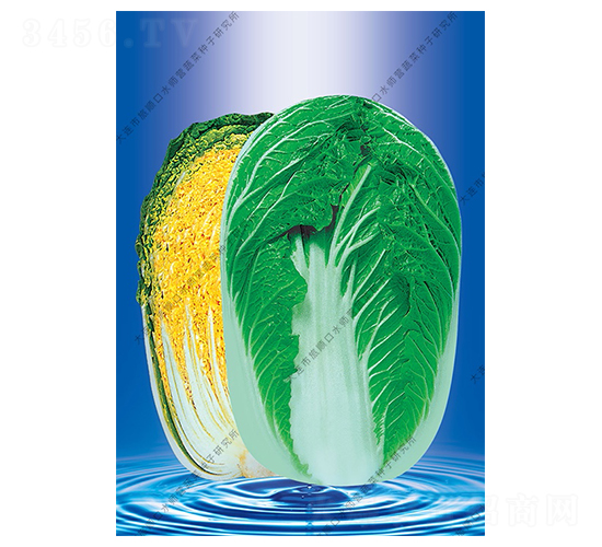 ����58-�ײ˷N��-ˮ���I