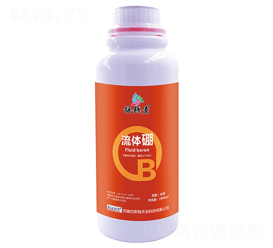 ���w��-�u�X������