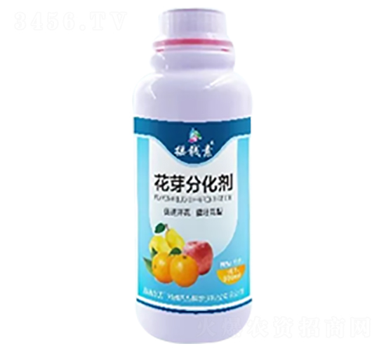 ��ѿ�ֻ���-�u�X������