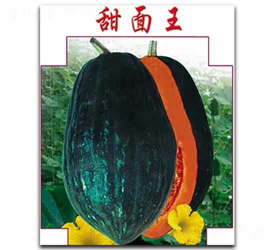 ������-�ϹϷN��-�x���