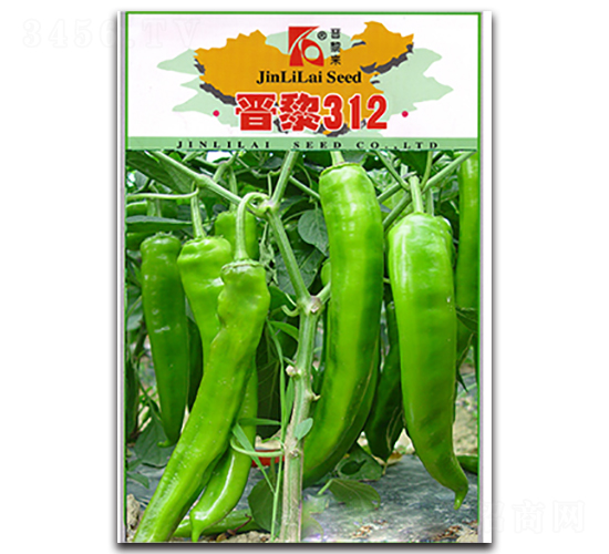 �x��312-�����N��-�x���