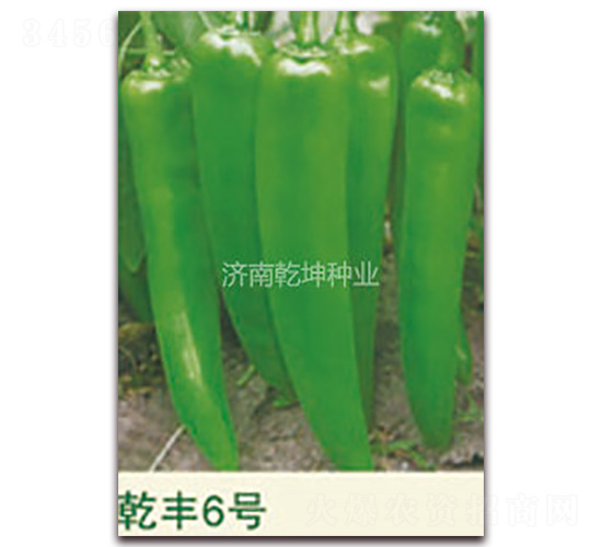 Ǭ�S6̖(h��o)-�����N��-Ǭ���N�I(y��)