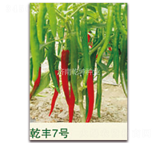 Ǭ�S7̖-�����N��-Ǭ���N�I(y��)