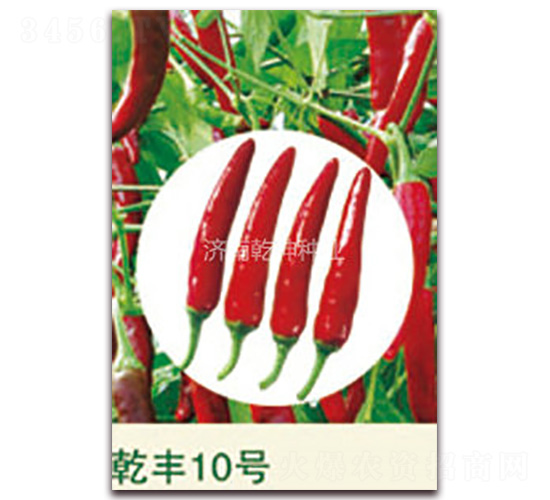 Ǭ�S10̖(h��o)-�����N��-Ǭ���N�I(y��)