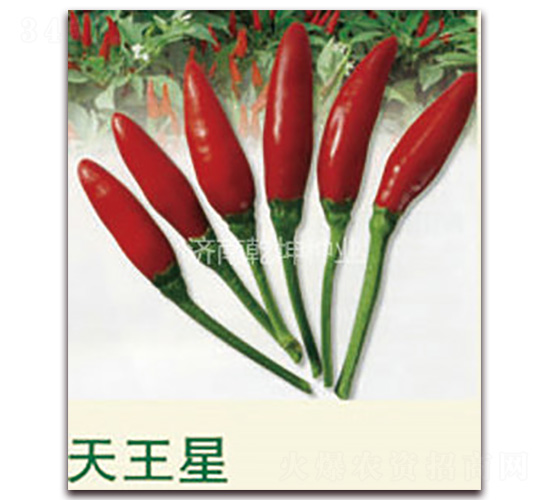 ������-�����N��-Ǭ���N�I(y��)