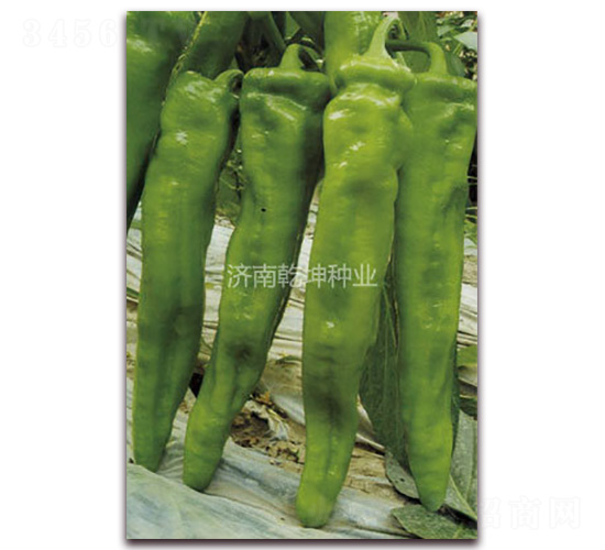 ����-�����N��-Ǭ���N�I(y��)