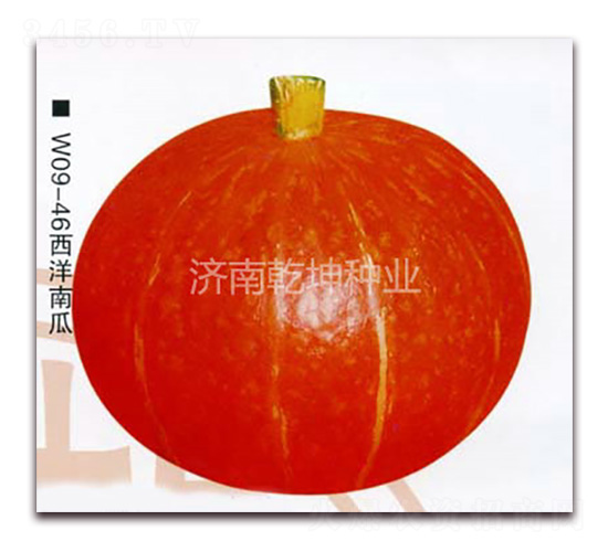 �t��-�ϹϷN��-Ǭ���N�I(y��)