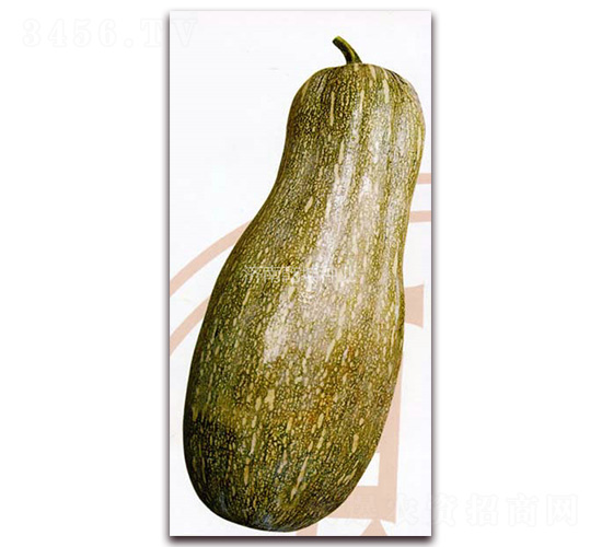 Ǭ�������۱�-�ϹϷN��-Ǭ���N�I(y��)