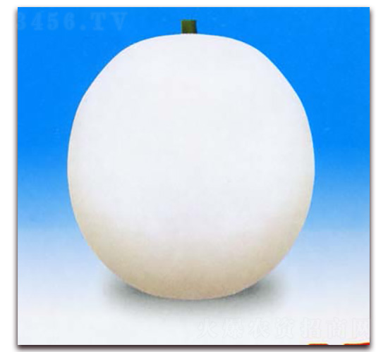 һƷ����-��ϷN��-Ǭ���N�I(y��)