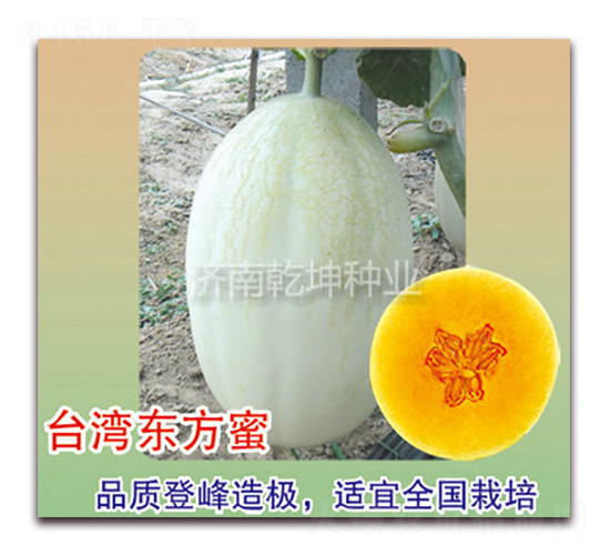 �_(t��i)���|����-���ܹϷN��-Ǭ���N�I(y��)